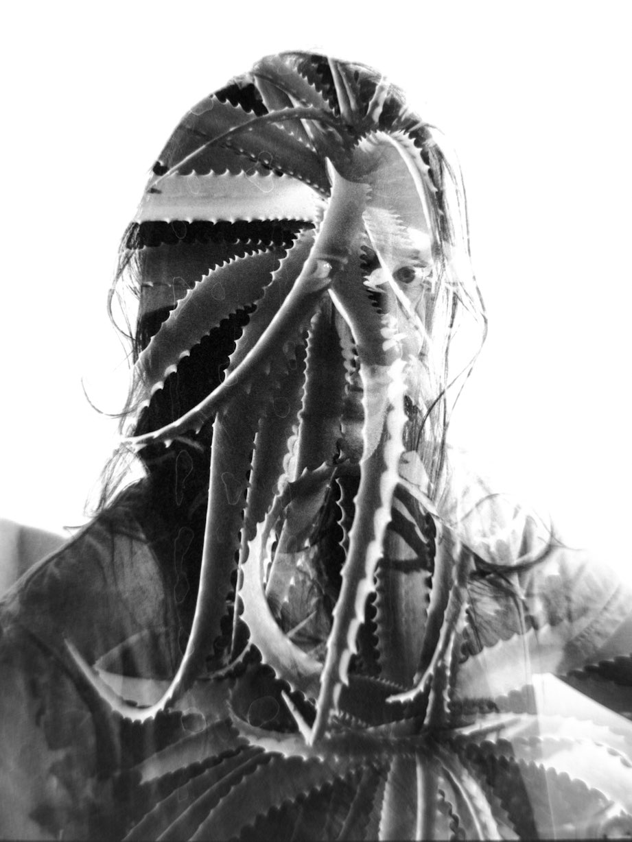 The figure's silhouette is filled with the spiny-edged leaves of some cactus-like plant, which streatch and twist around each other like tendrils. The figure's eyes peer out from the center.